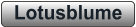 Lotusblume